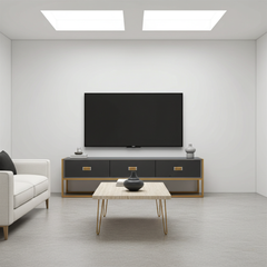 CORDIA TV unit